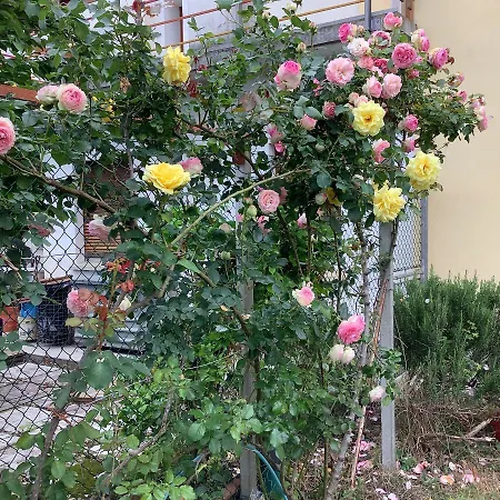 Ai Quattro 3* Privano