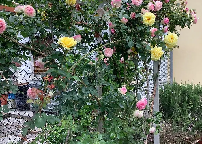 Ai Quattro 3* Privano